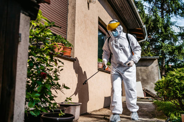 Best Affordable Pest Control Services  in Greenwood, LA