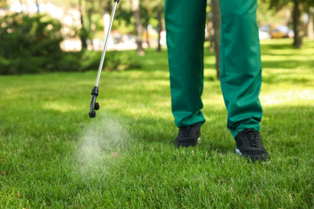 Best Best Pest Control Companies  in Greenwood, LA