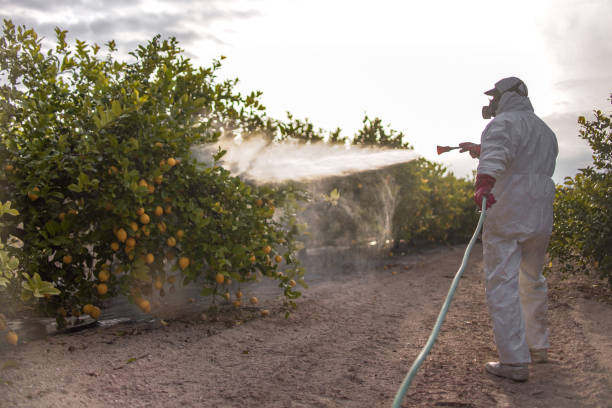 Best Commercial Pest Control Services  in Greenwood, LA