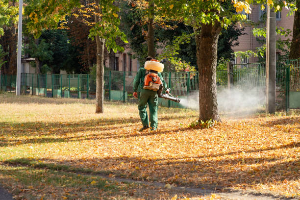 Best Pest Prevention Services  in Greenwood, LA