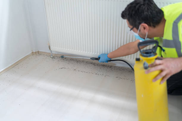 Best Cockroach Control Services  in Greenwood, LA
