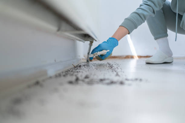 Best Termite Control Services  in Greenwood, LA